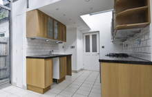 Stoke D Abernon kitchen extension leads